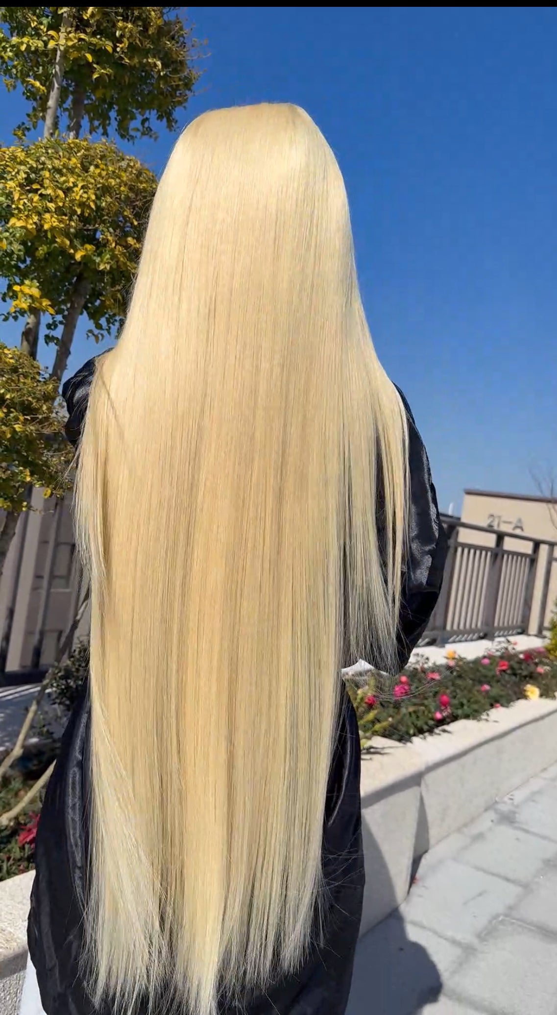 Premium 13x4 613 Wigs